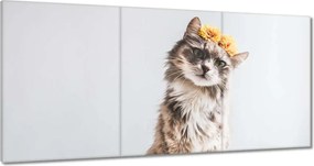 Vászonkép 180x90 Cica Cicák