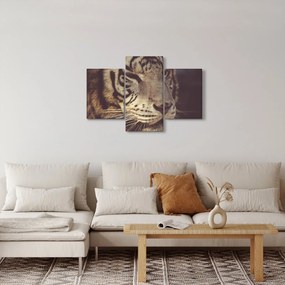 Tigris képe (90x60 cm)
