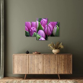 Kép - tulipánok (90x60 cm)