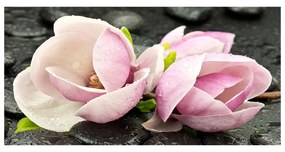 Akrilkép Magnolia zen stone- oah-52082705