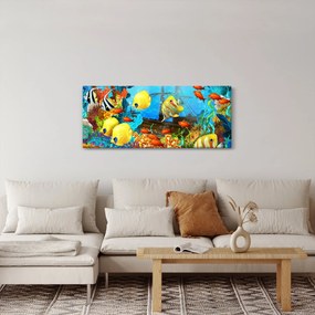 Kép - színes korallzátony (120x50 cm)
