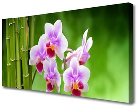 Vászonkép falra Bamboo Orchid Virág Zen 100x50 cm