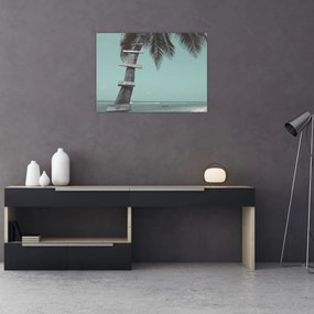 Kép - Palma a Karib-tengeren (70x50 cm)