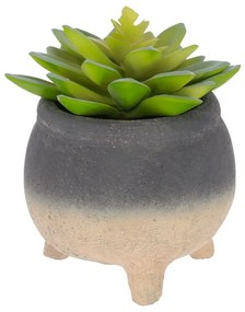 Sedum Lucidum mű pozsgás növény cement virágcserépben - Kave Home