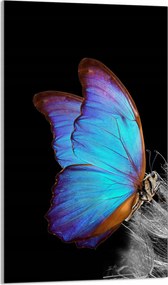 Üveg Vágódeszka 30x52 Pillangó a Konyhába