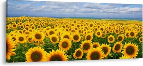 A napraforgó mező képe (120x50 cm)