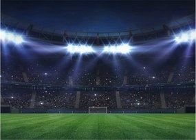 Kép - Labdarúgó stadion (70x50 cm)