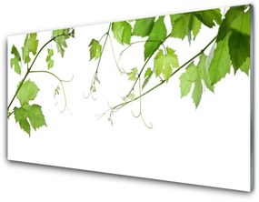 Akrilkép Ágak levelek Nature Flowers 120x60 cm 2 fogas