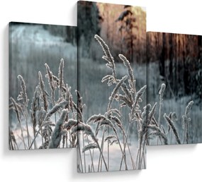 Kép - Fagyott rét (90x60 cm)