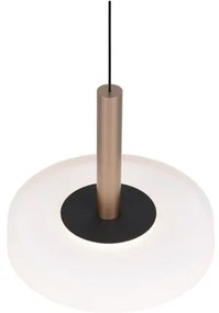 Fekete-fehér-aranyszínű LED dimmelhető függőlámpa üveg búrával ø 22 cm Celeste – Trio