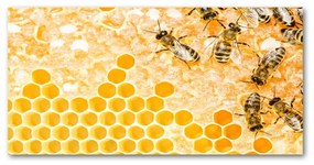 Akrilkép Dolgozó méhek oah-74378590