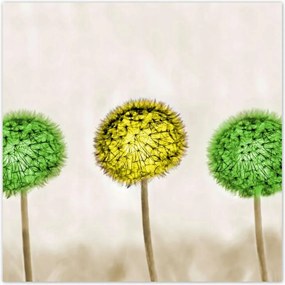 Poszterek 70x70 Sárga a lime között