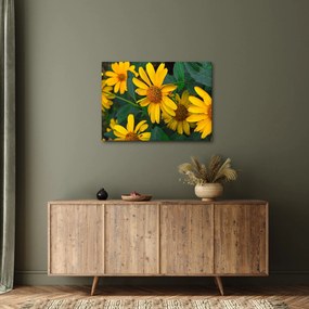 Sárga virágok képe (70x50 cm)