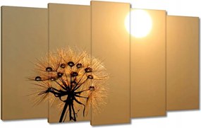 Vászonkép 100x60 Pitypang Virág Virágok