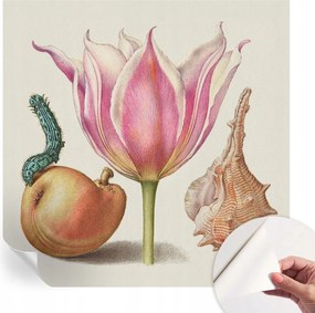 Öntapadós Dekoratív Fotótapéta Hálószobába Természetes szimbiózis 250x250