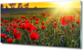 Fotótapéta üvegfalra Zöld dombok 125x50