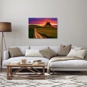 Mező és a színes ég képe (üvegen) (70x50 cm)