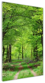 Akril üveg kép Zöld erdő pl-oa-50x100-f-104709227