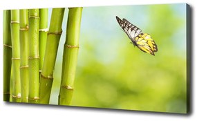 Egyedi vászonkép Bamboo és a pillangó oc-69817087