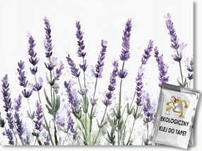 Fotótapéta Flizelina Akvarell Természet Virágok Gyógynövények Levendula 400x280 ragasztó