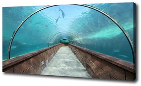 Vászonfotó Az alagút akvárium oc-82197217