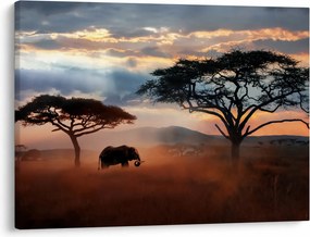 Kép - Serengeti Nemzeti Park, Tanzánia, Afrika (70x50 cm)