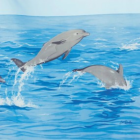 Zuhanyfüggöny 120x200 cm Nemo – Spirella