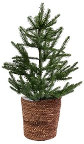Mohaifű kaspó SEAGRASS BASKET 20 cm