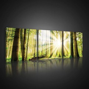 Vászonkép 3 darabos, Napos erdő, 3 db 25x25 cm méret