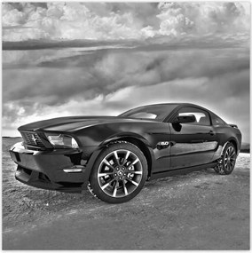 Fotótapéták 208x208 Ford Mustang a hóban Autó Klasszikus Made in Usa