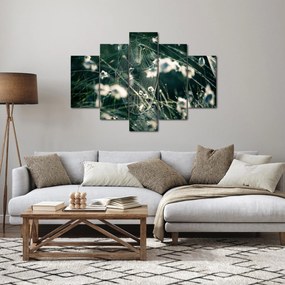 Kép - Pókháló (150x105 cm)