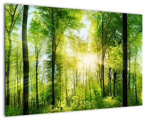 Kép - Hajnal az erdőben (90x60 cm)