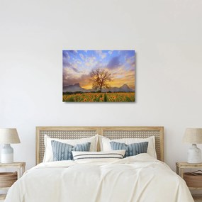 Kép - Táj napraforgóval (üvegen) (70x50 cm)