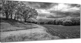 Vászonkép 60x30 Fekete-fehér mező