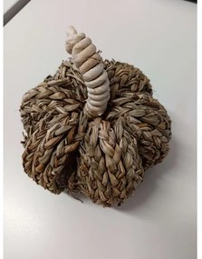 AKCIÓ Dísztök PUMPKIN COACH GRASS II. osztály