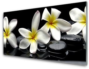 Modern üvegkép Szép virág Plumeria 100x50 cm 2 fogas