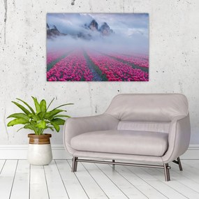 Kép - Tájkép tulipánmezőkkel (90x60 cm)