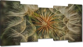 Vászonkép 150x80 Pitypang Virág Virágok