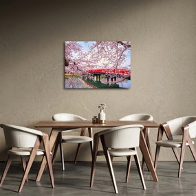 Kép - Hirosaki, Japán (70x50 cm)