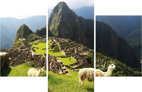 Kép - Lámák Machu Picchuban (90x60 cm)