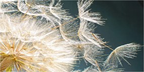 Konyhai panel Pitypang mag 120x60 cm Ragasztó