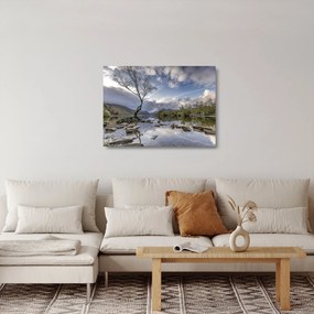 Folyó a fa mögött képe (üvegen) (70x50 cm)