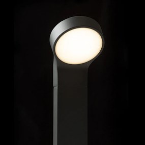 RENDL ELIA állólámpa antracitszürke 230V LED 9W IP44 3000K