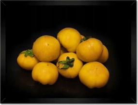 Poszterek keretben 40x30 Sárga paradicsom