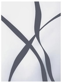 Zuhanyfüggöny 180x200 cm Ribbon – Spirella