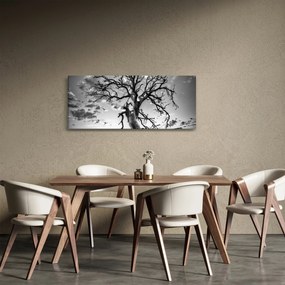 Kép - fekete fehér fa (120x50 cm)