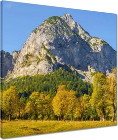 Vászonkép 50x50 Hegyi táj tiszta égbolttal Fák a hegyekben