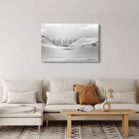 Kép - ezüst táj (90x60 cm)