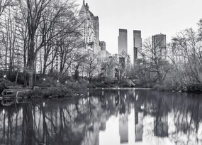 Poszter 70x50cm Központi park Manhattan panorámával 4, Assaf Frank