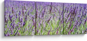 Egy mező képe a levendulával (órával) (90x30 cm)